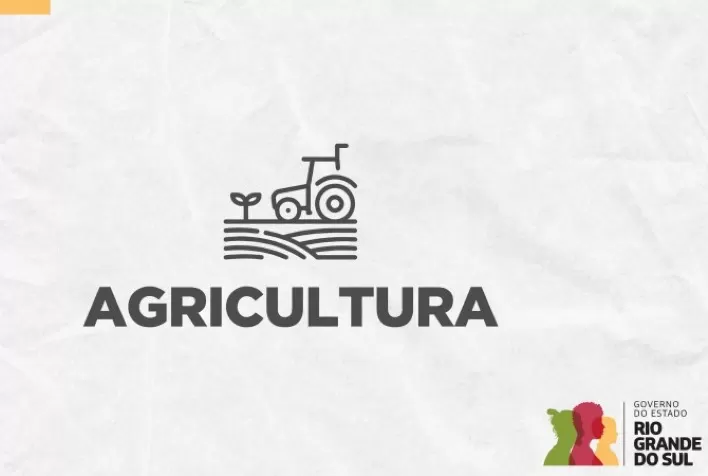 RS já vistoriou mais da metade das propriedades rurais próximas ao foco de gripe aviária em Montenegro