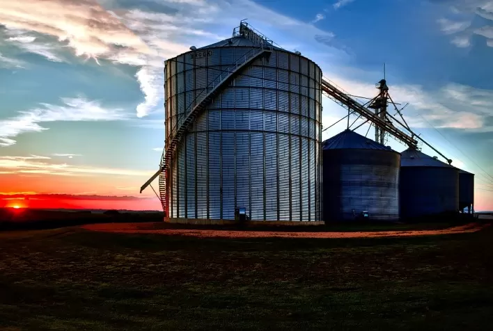 Modernização do pós-colheita é essencial para reduzir perdas e fortalecer o agronegócio brasileiro