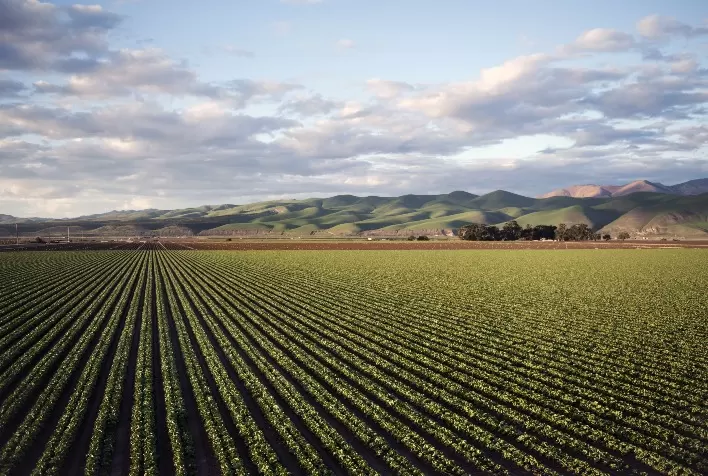 ABIMAQ realiza seminário em Brasília para discutir Plano Safra 2025/26 e desafios da produção agrícola