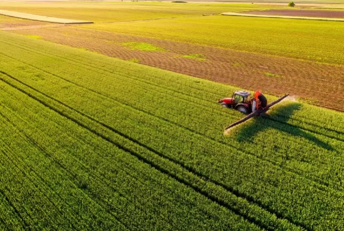 Mercado de defensivos agrícolas para milho verão registra queda de 16% em 2024-25, diz estudo da Kynetec