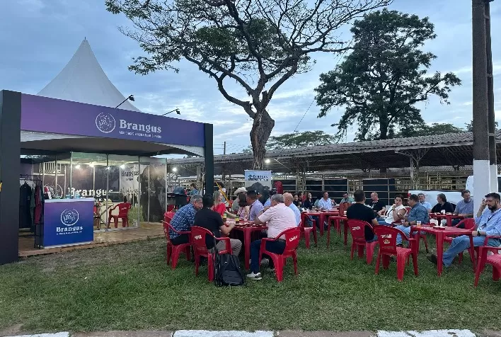 Brangus abre inscrições para Feicorte 2025 com programação especial para criadores