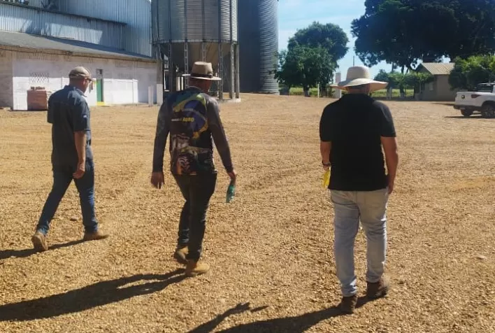Soja sustentável: propriedades ligadas ao CAT Sorriso passam por auditoria para manter certificação RTRS