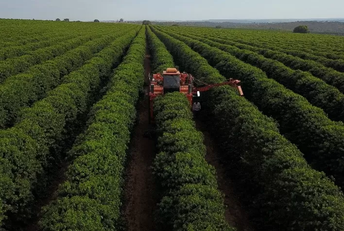 Expocacer inicia mapeamento de cafés para fortalecer produção de cafés especiais no Cerrado Mineiro