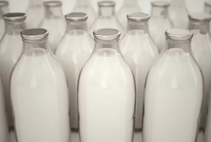 Goiás registra queda nos preços dos laticínios em maio, com creme de leite liderando recuo