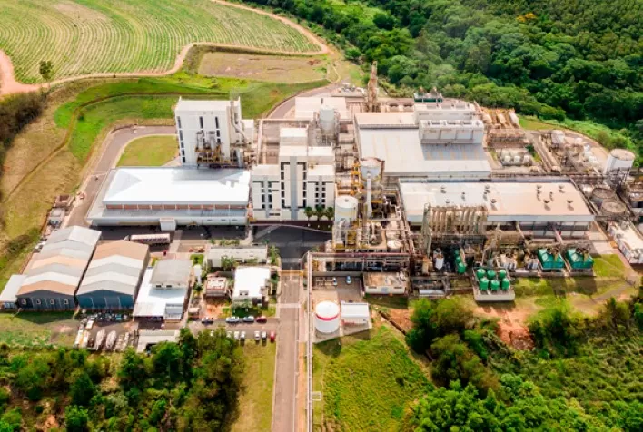 Lesaffre e Zilor anunciam joint venture para expandir soluções naturais à base de levedura