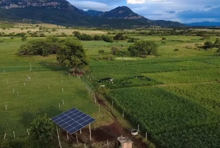 Programa ATeG impulsiona produtividade e renda de produtores rurais em Minas Gerais