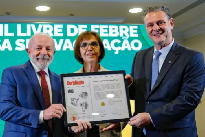 Brasil é certificado como livre de febre aftosa sem vacinação e mira novos mercados para carne bovina