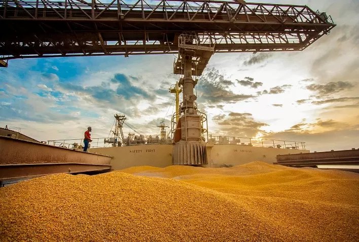 Exportações de milho do Brasil têm queda de 99% no início de junho em comparação a 2024