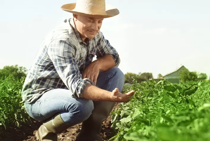 Nova fase da Agronegociar conecta agricultores, extensionistas e pesquisadores em plataforma nacional