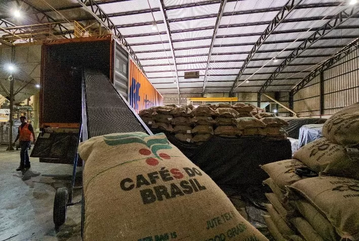 Exportação diária de café não torrado cai mais de 27% no início de junho, mas faturamento cresce