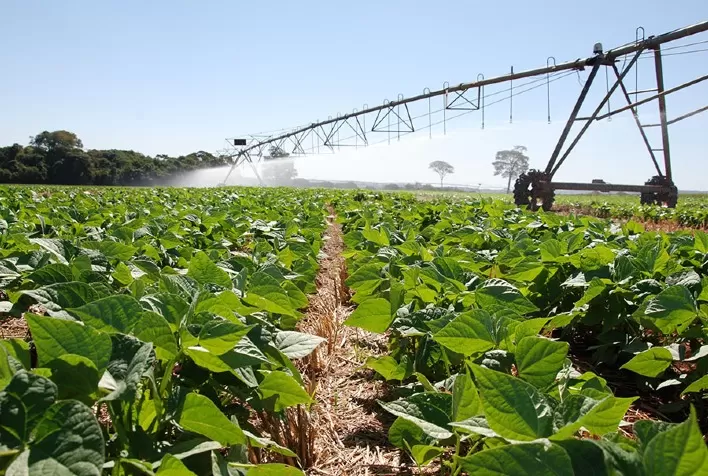 Novo mapa nacional revela áreas com maior potencial agrícola no Brasil