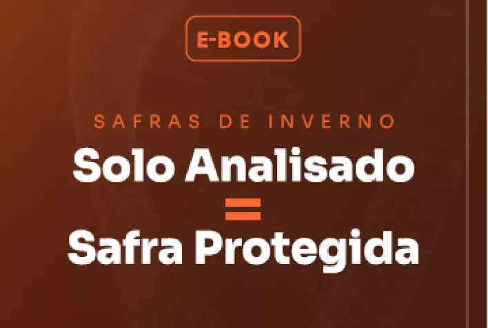 Biologia Molecular revoluciona o combate a doenças invisíveis no solo e aumenta produtividade na safra de inverno
