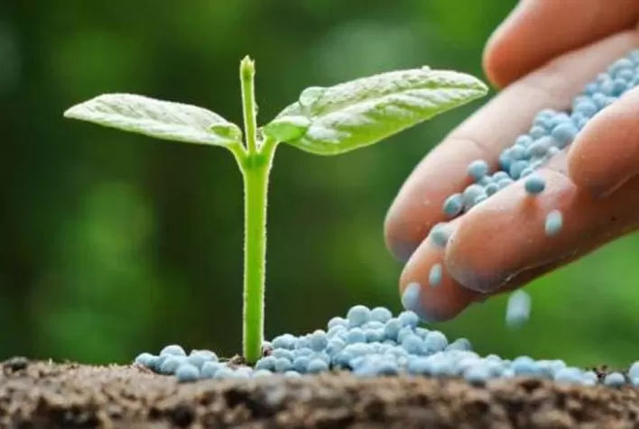 Produtores de soja em Mato Grosso reduzem custos com fertilizantes e defensivos para a safra 2025/26