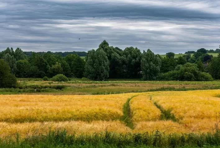 Agricultura regenerativa ganha espaço e equilibra produtividade com preservação ambiental no campo brasileiro