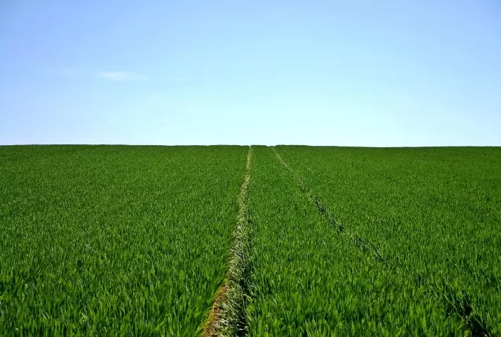 Tecnologia brasileira revoluciona agricultura ao aumentar produtividade com menor impacto ambiental