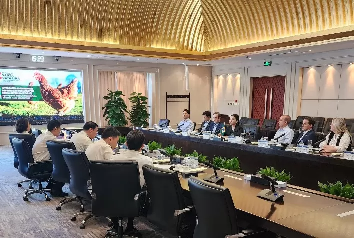 Governador de Santa Catarina pede retomada das exportações de frango à China após suspensão temporária