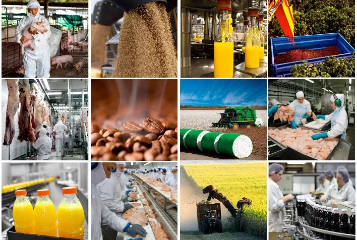 Safra recorde e alta de recuperações judiciais marcam o agronegócio em 2025