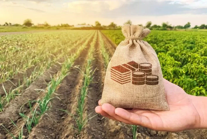 Juros altos no Plano Safra 2024/25 preocupam setor de proteínas animais e podem frear investimentos no campo
