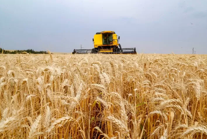 Secretaria da Agricultura do Paraná orienta produtores sobre mudanças no Plano Safra 2025/26