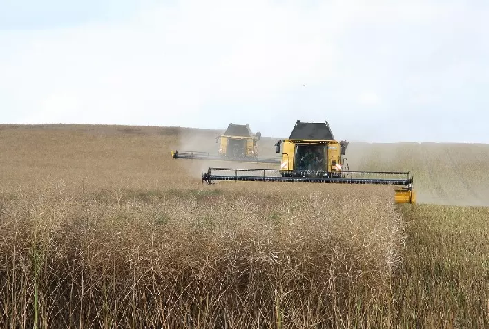 Agro intensifica busca por crédito fora dos bancos; FIDCs crescem 41,4% em meio ao Plano Safra mais caro da história