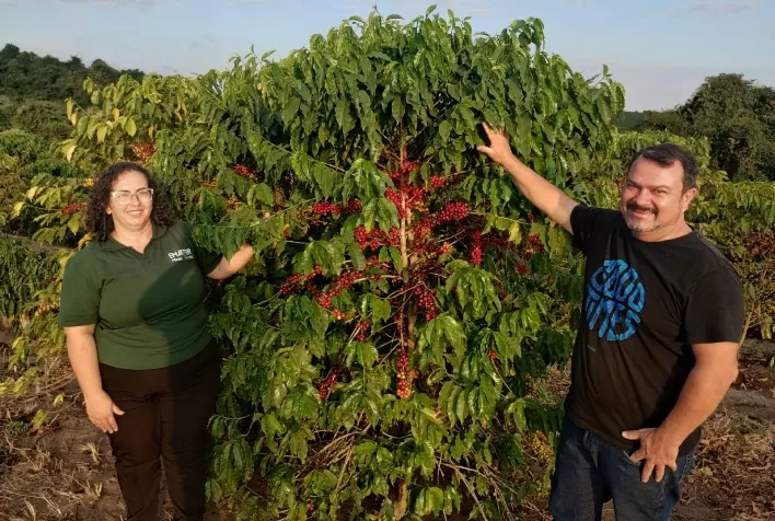 Sucessão familiar e superação: cafeicultor preserva tradição centenária no Campo das Vertentes