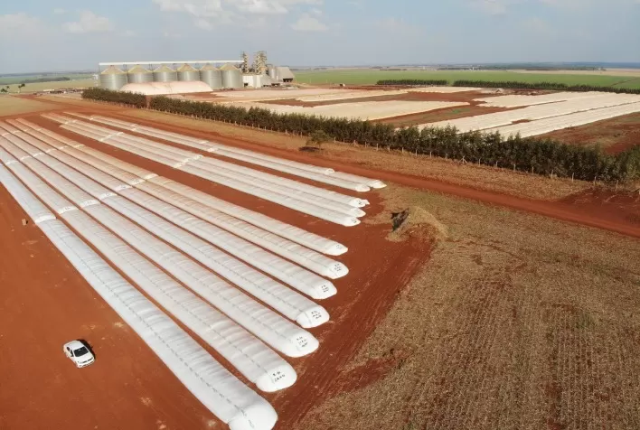 Falta de armazéns preocupa produtores de milho em Mato Grosso durante avanço da colheita