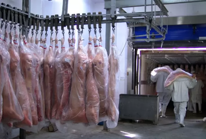 Exportações de carne suína somam 14,2 mil toneladas na primeira semana de julho