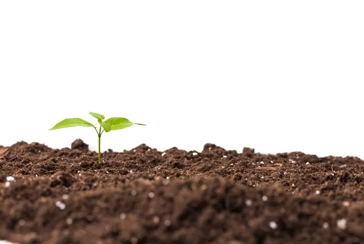 Fertilizantes: esclarecendo mitos e verdades para uma agricultura sustentável
