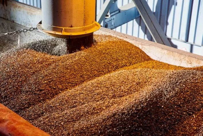 GLP no agronegócio: eficiência e controle térmico para secagem e aquecimento