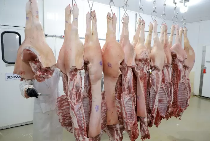 Paraná registra melhor semestre em exportações de carne suína desde 1997 com 110,7 mil toneladas