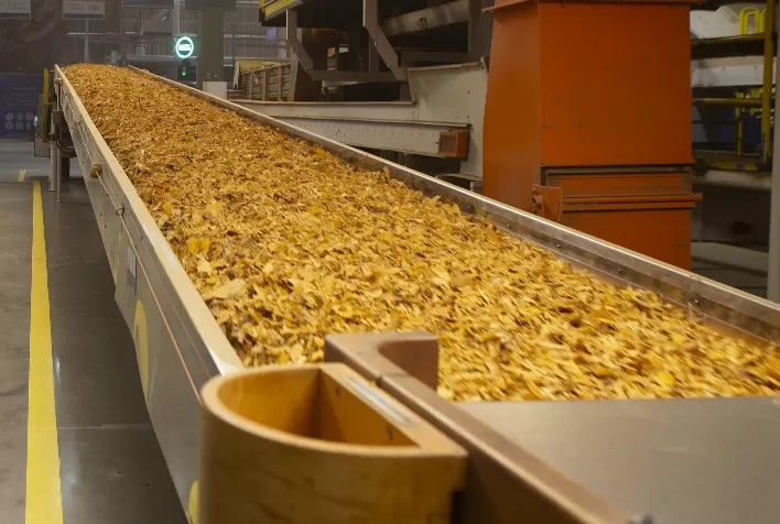 Brasil exporta mais de US$ 1,3 bilhão em tabaco no primeiro semestre e mantém liderança global