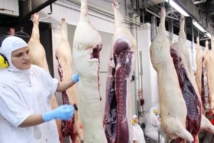 Consumo enfraquecido e retração dos frigoríficos pressionam preços da carne suína no mercado nacional