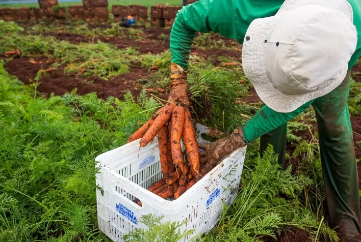 Goiás lidera geração proporcional de empregos na agropecuária em 2025 com alta de 6,4% nas admissões