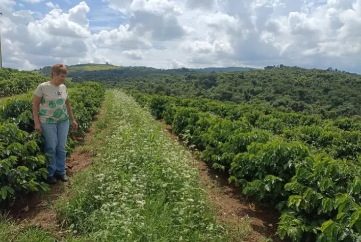 Mulheres do Sul de Minas ganham destaque na cafeicultura entre desafios e sucessão familiar