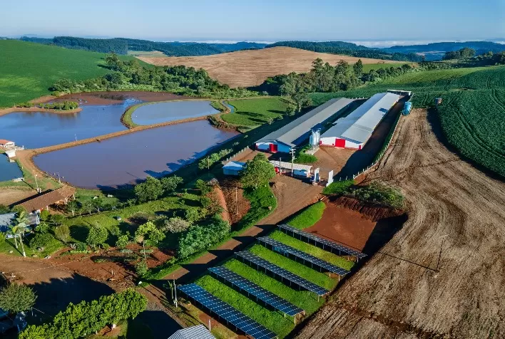 Minas Gerais amplia dispensa de licenciamento ambiental para propriedades rurais de até mil hectares