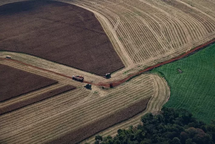 Paraná lidera crescimento econômico no Brasil nos primeiros cinco meses de 2025