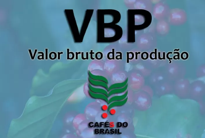 Valor da produção de café canéfora no Brasil deve atingir R$ 34,46 bilhões em 2025