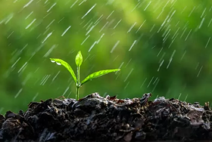 Chuvas intensas no Sul podem atrasar plantio de inverno; calor acima da média predomina no país em agosto