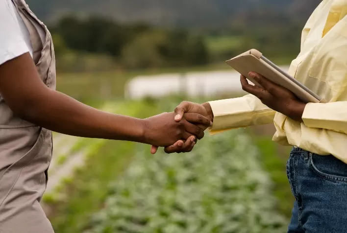 Digitalização do crédito rural transforma o acesso ao financiamento e impulsiona inclusão no agronegócio