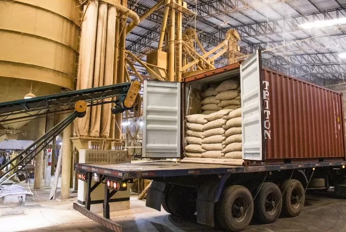 Exportações de café recuam em volume, mas faturamento cresce em julho de 2025