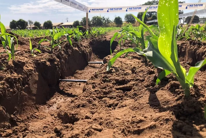 Nova geração de irrigantes transforma a agricultura brasileira com tecnologia e visão estratégica