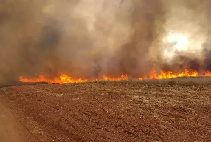 APROSOJA TOCANTINS alerta produtores sobre riscos legais e orienta ações diante de incêndios florestais