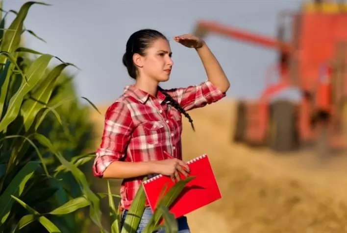 Perfis de produtores rurais brasileiros: como características influenciam decisões de investimento