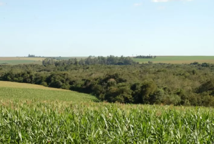 Paraná regulariza 25% das propriedades no CAR e beneficia 65 mil produtores rurais