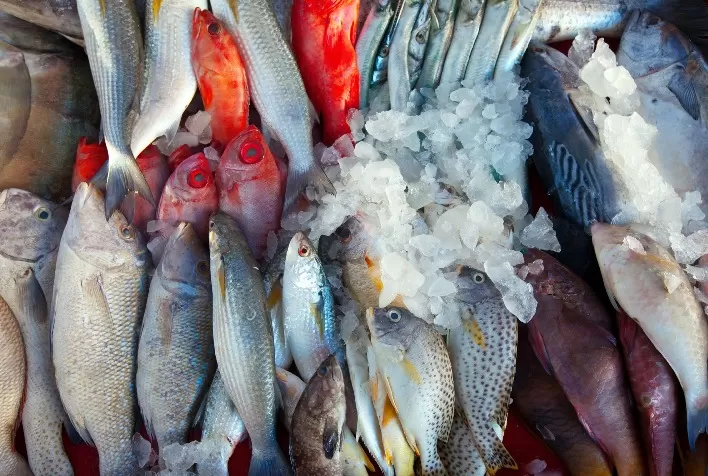 Tarifas dos EUA impactam agronegócio brasileiro: preços de pescados, frutas, carnes e café podem oscilar