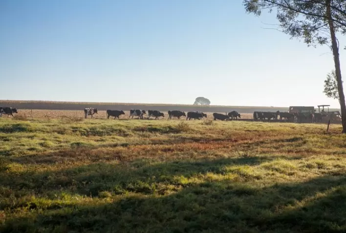 Goiás reforça liderança no agronegócio com dados da Radiografia do Agro Goiano