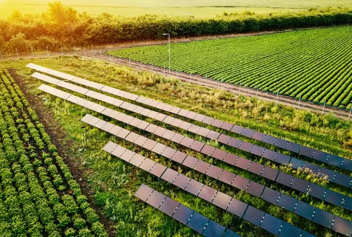 Energia Solar deve gerar 3,6 milhões de empregos e representar 33% da matriz elétrica brasileira até 2030