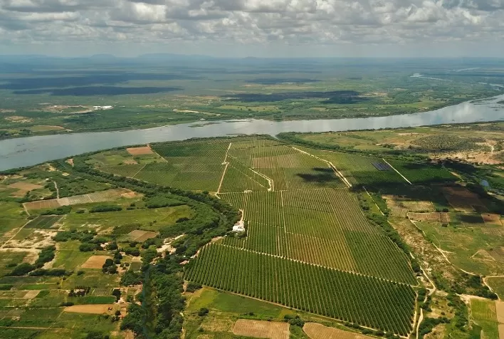 Brasil se destaca como exportador de frutas graças à tecnologia e inovação