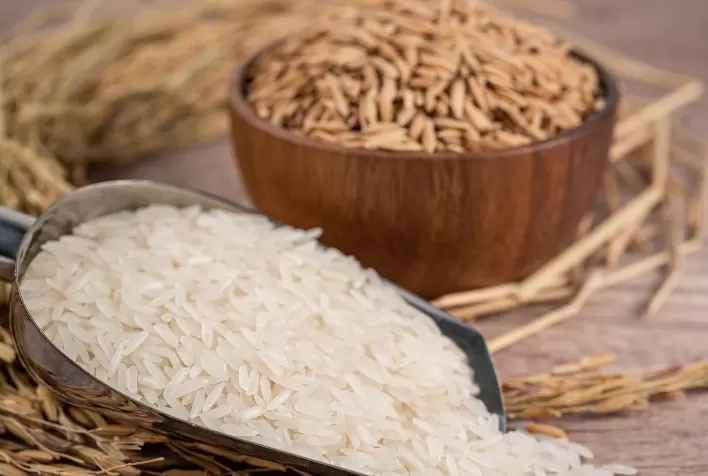 Queda no preço do arroz pressiona produtores e indústrias e pode comprometer safra 2025/26