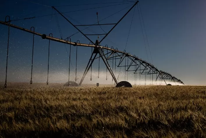 Chuvas irregulares e calor reduzem rendimento do trigo em Goiás
